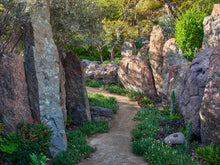 Landscape Design + Installation