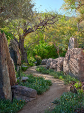 Landscape Design + Installation