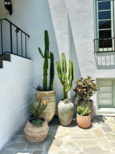 Pottery + Indoor Garden