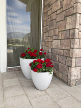 Pottery + Indoor Garden