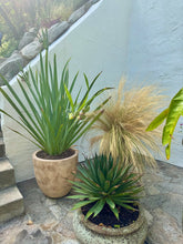 Pottery + Indoor Garden