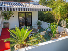 Pottery + Indoor Garden