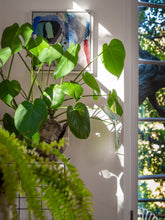 Landscape Design + Installation