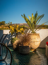 Pottery + Indoor Garden