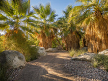 Landscape Design + Installation